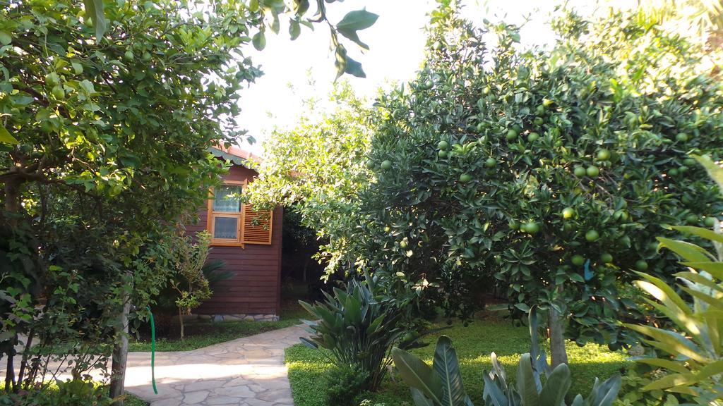 Mercan Bungalow Cirali Exterior photo