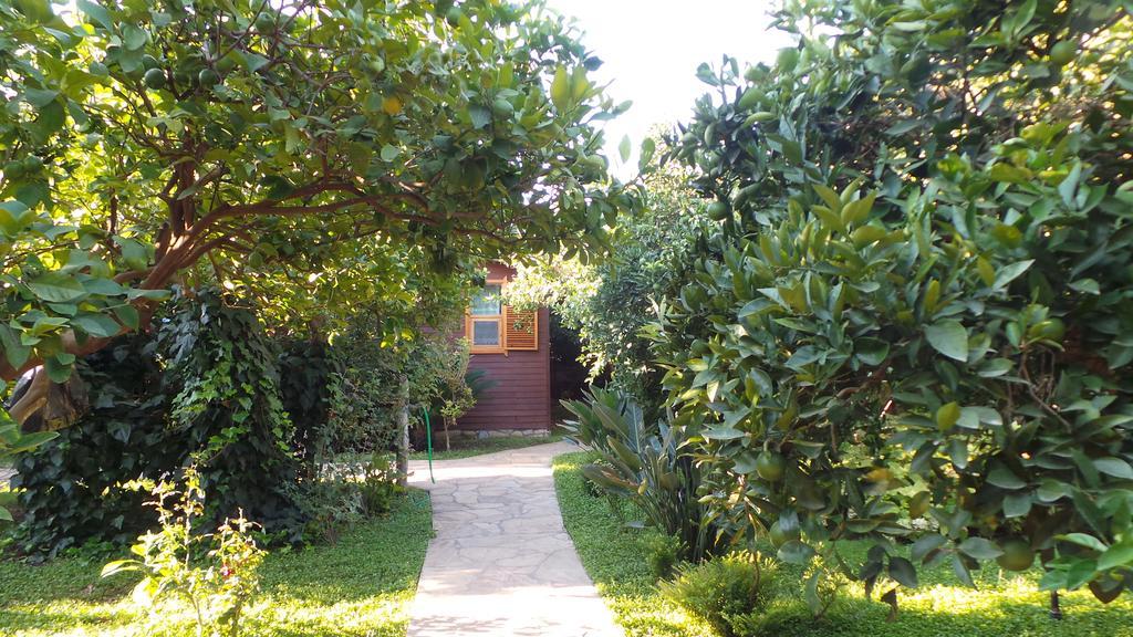 Mercan Bungalow Cirali Exterior photo