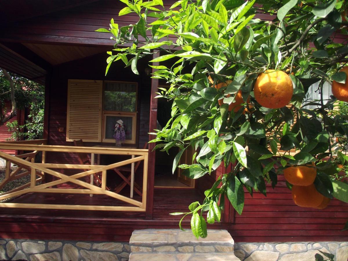 Mercan Bungalow Cirali Exterior photo